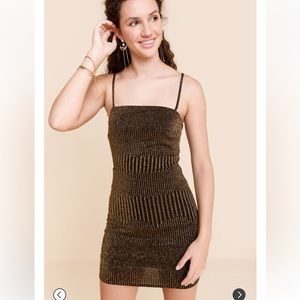 Francesca’s Dress New With Tags